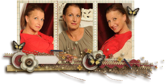 Ilse49-emeff2013